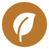 High nutrient density